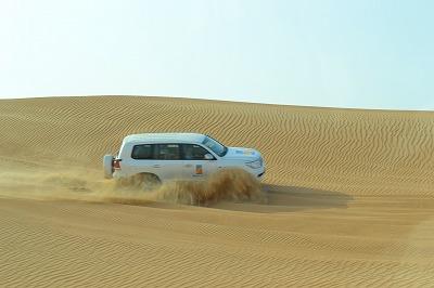 サファリドライブ