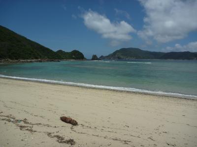 透明ですぐ魚に会えます。向こう岸の岩場に沿って泳ぐと、回遊魚(40センチ位)も見れました。