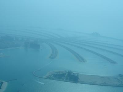 遊覧飛行からの景色！！