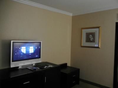 リビングのテレビ。ベッドルームにもある。