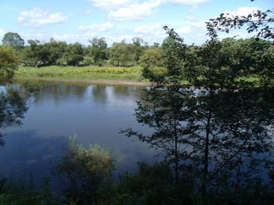 爆走するノロッコ号