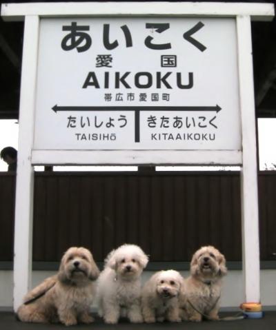 雰囲気は愛国駅かな。