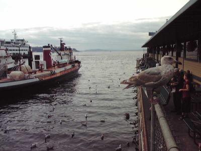 クラムチャウダー