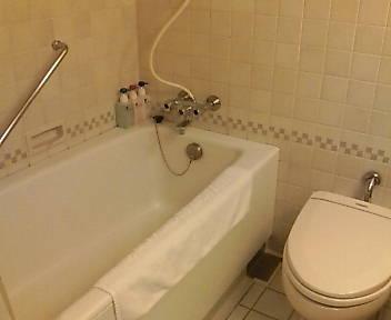 歴史あるホテルです