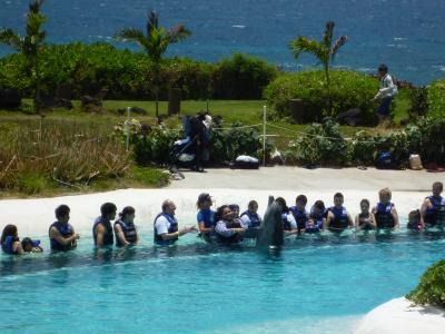 初めてイルカと！