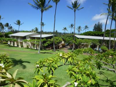 西マウイの静かなコンドミニアムエリア