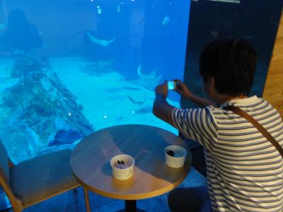 済州島にできたばかりの新しいアジア一大きい水族館