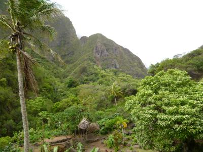 風が強く寒いくらいでした