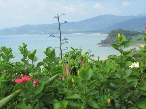 南国的な雰囲気