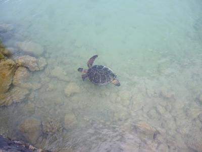 おちついたリゾートホテル