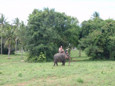 象に乗ってトレッキングできます。