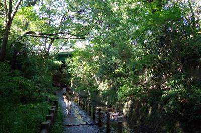 癒やしスポット・・・だけど蚊にはご注意！！