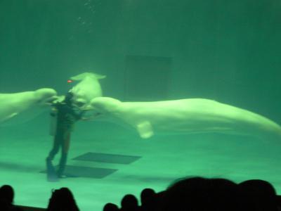 意外に大きくて