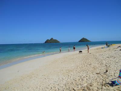 すばらしいの一言