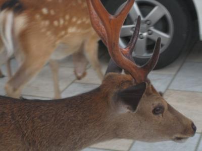大浴場があってくつろげるホテル