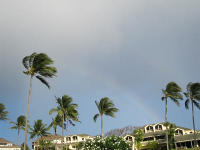 敷地内の庭を散歩中に虹！