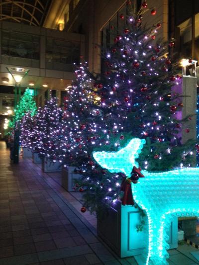 高さ１２メートルのツリー