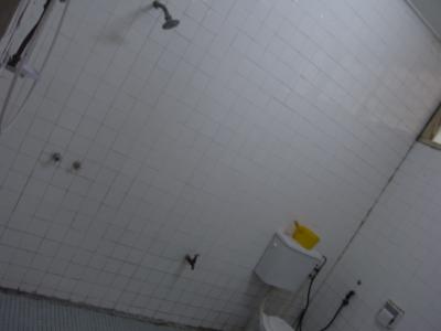 シャワーとトイレ。区切りなし・・・