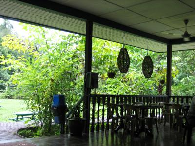 カフェからの眺め。基本ローカルフード。ラクサがおいしかった！