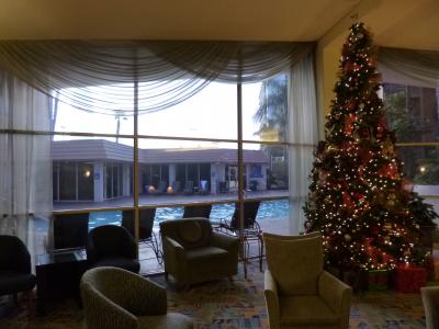 本館のプール（クリスマスの飾付けの傍らから）