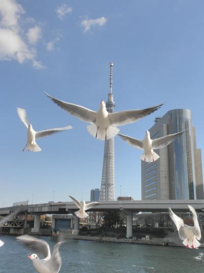 東京のメイン観光～一押しです！