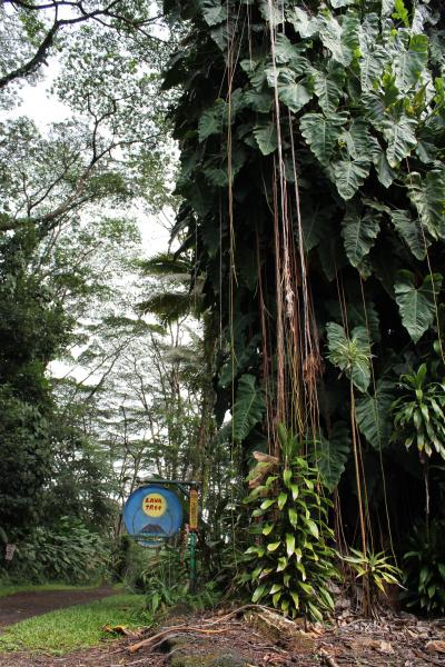 初めてのＢ＆Ｂ