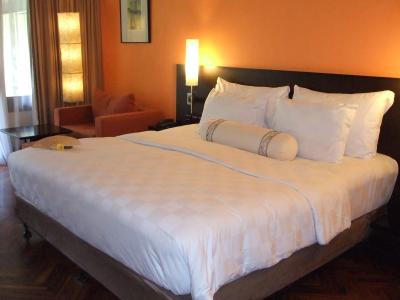 ス−ペリアル−ム寝室