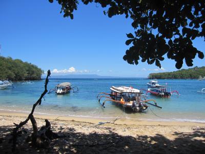 ここからモーニングクルーズ