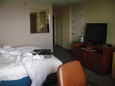 寝起きの部屋(汚くてすみません）