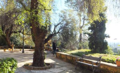 テラス下のパティオ