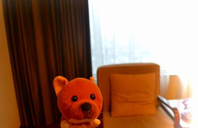 リビングも広々。