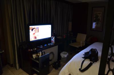 展望出来る窓は無かったです。上部の換気窓のみ