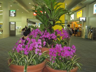 お花がきれいな空港