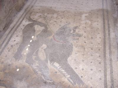 見どころいっぱい