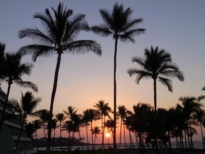 ゆっくり過ごしたいホテルです