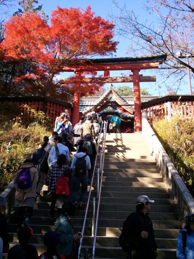 紅葉がおすすめ☆