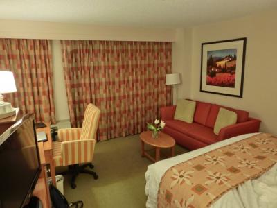 客室はとても過ごしやすいと思います。