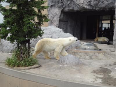 歩きやすい靴、夏場は日差し対策も。