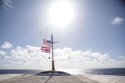 遭遇率９割なのに見れなかったという悲しみ