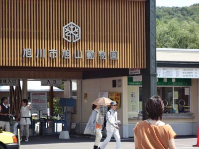 動物の見せ方が面白い！