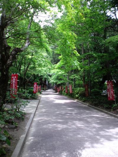 階段がすごい！　けれど、力を感じるお寺です。