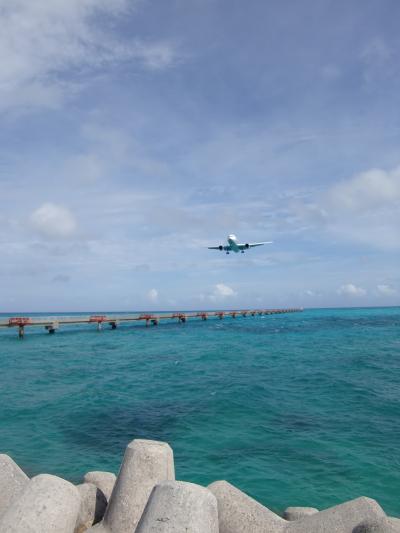 何度も何度も見てしまった！