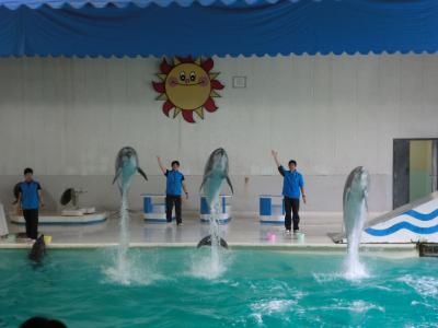 海に隣接した水族館
