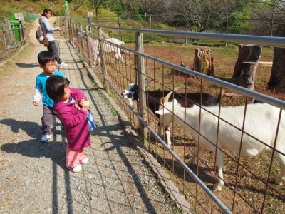 子どもと一緒に１日遊べます