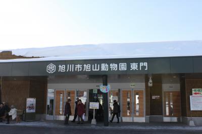 ペンギンのお散歩は必見！