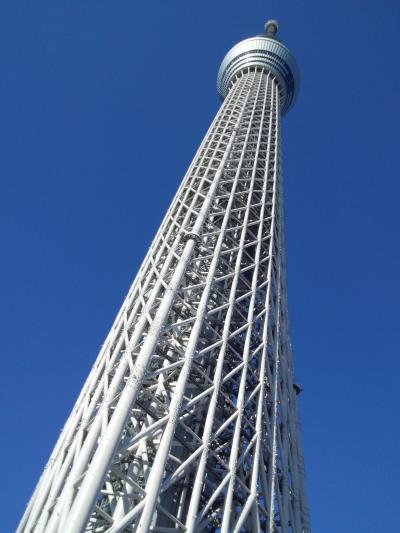 バスにまかせて物見遊山に出かけませんか