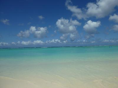 ふらっと立ち寄るのも楽しいDFS