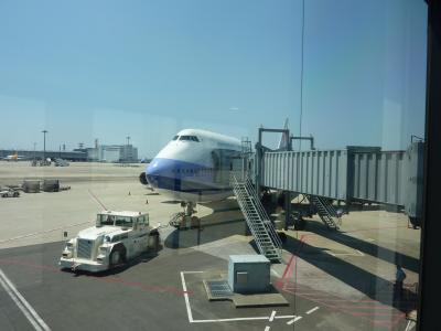 安いけどいいと思う