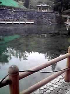 駅からも近く、水が綺麗で抜群の透明度！！