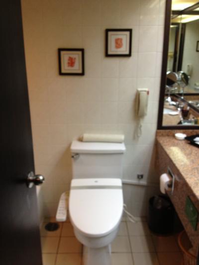トイレの左側には浅めのバスタブ。のんびり入浴できます。